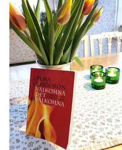 Omslag: Välkomna det ovälkomna av Pema Chödrön Omslag: Välkomna det ovälkomna av Pema Chödrön