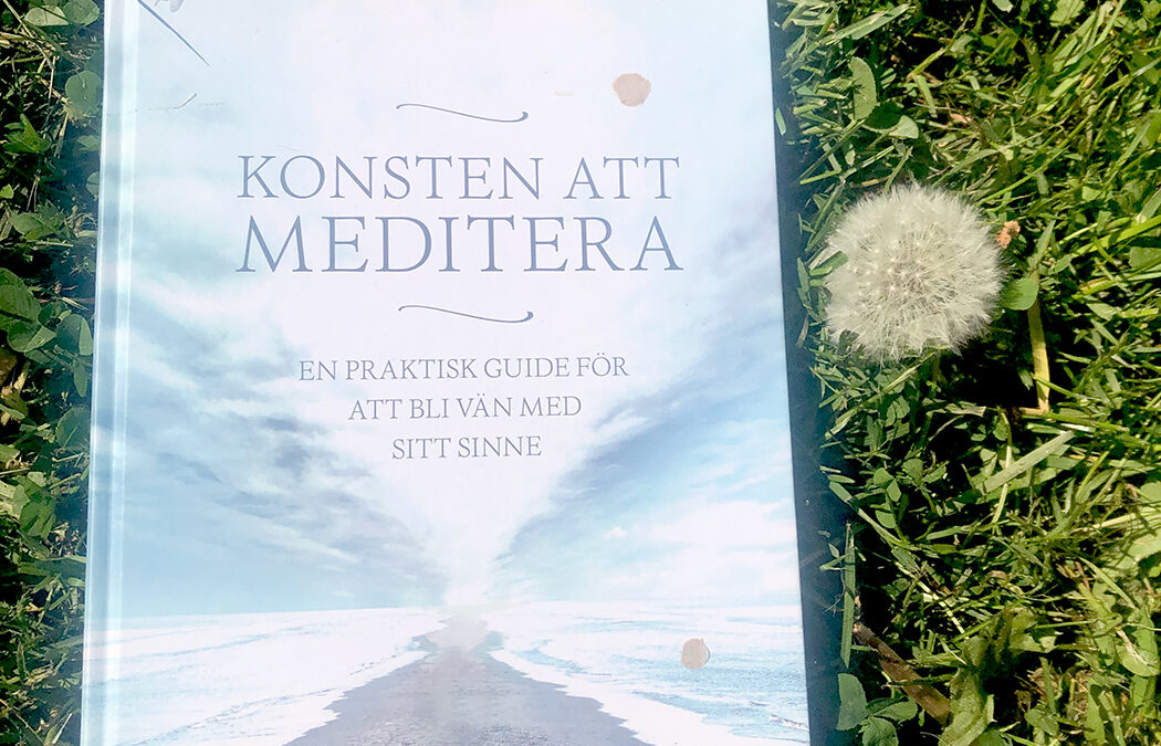 Konsten att meditera, en praktiskt guide för att bli vän med sitt sinne. Av Pema Chödrön.