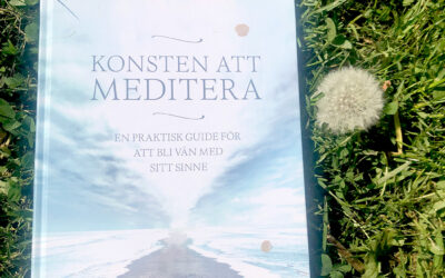 Konsten att meditera, en praktiskt guide för att bli vän med sitt sinne. Av Pema Chödrön.